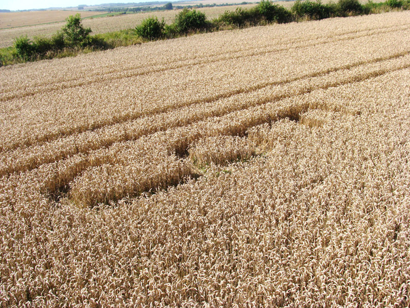The Ridgeway, Wiltshire crop circle, aerial photo 10