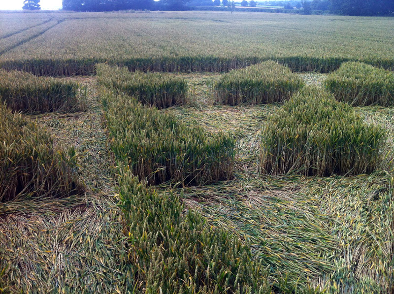 Burrow Hill Fort, Warwickshire crop circle, aerial photo 55