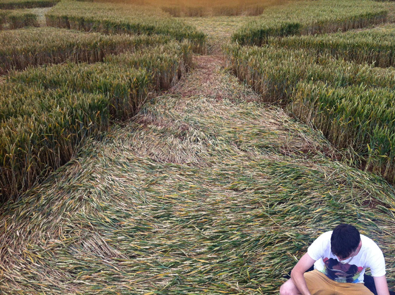 Burrow Hill Fort, Warwickshire crop circle, aerial photo 56