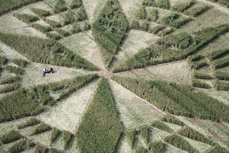 Burrow Hill Fort, Warwickshire crop circle, aerial photo 7