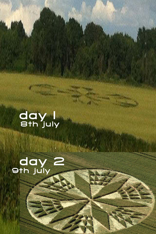 Burrow Hill Fort, Warwickshire crop circle, aerial photo 39