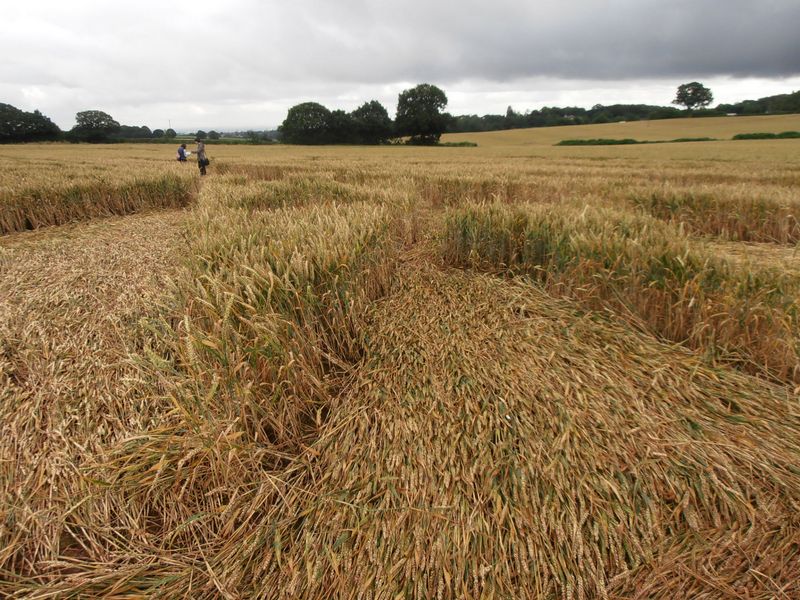 Burrow Hill Fort, Warwickshire crop circle, aerial photo 65