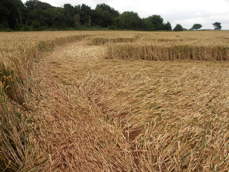 Burrow Hill Fort, Warwickshire crop circle, aerial photo 86