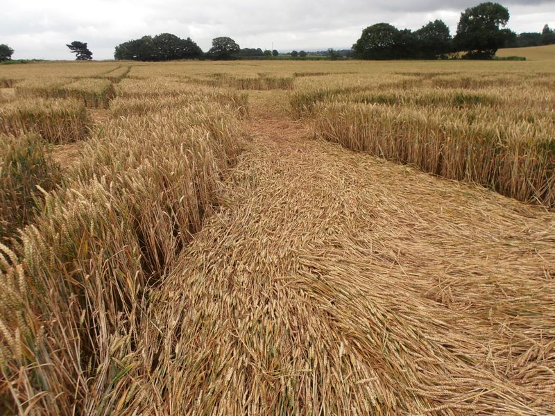 Burrow Hill Fort, Warwickshire crop circle, aerial photo 85