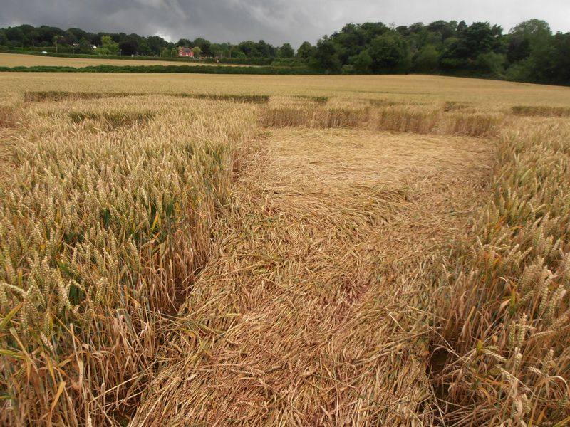 Burrow Hill Fort, Warwickshire crop circle, aerial photo 84