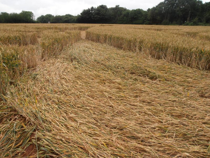 Burrow Hill Fort, Warwickshire crop circle, aerial photo 80