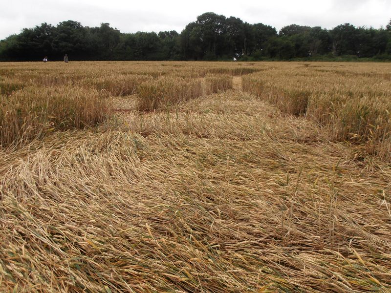 Burrow Hill Fort, Warwickshire crop circle, aerial photo 78