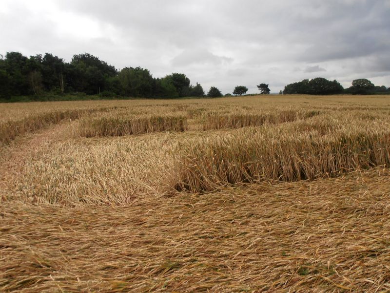 Burrow Hill Fort, Warwickshire crop circle, aerial photo 76