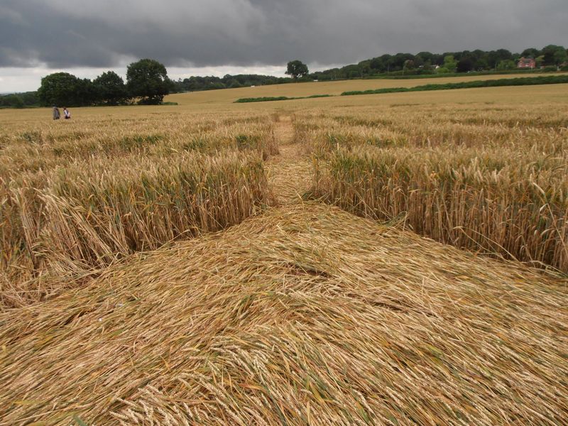 Burrow Hill Fort, Warwickshire crop circle, aerial photo 75