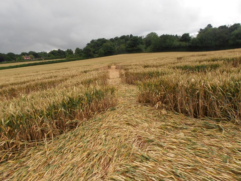 Burrow Hill Fort, Warwickshire crop circle, aerial photo 74