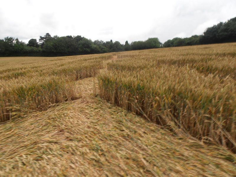 Burrow Hill Fort, Warwickshire crop circle, aerial photo 73
