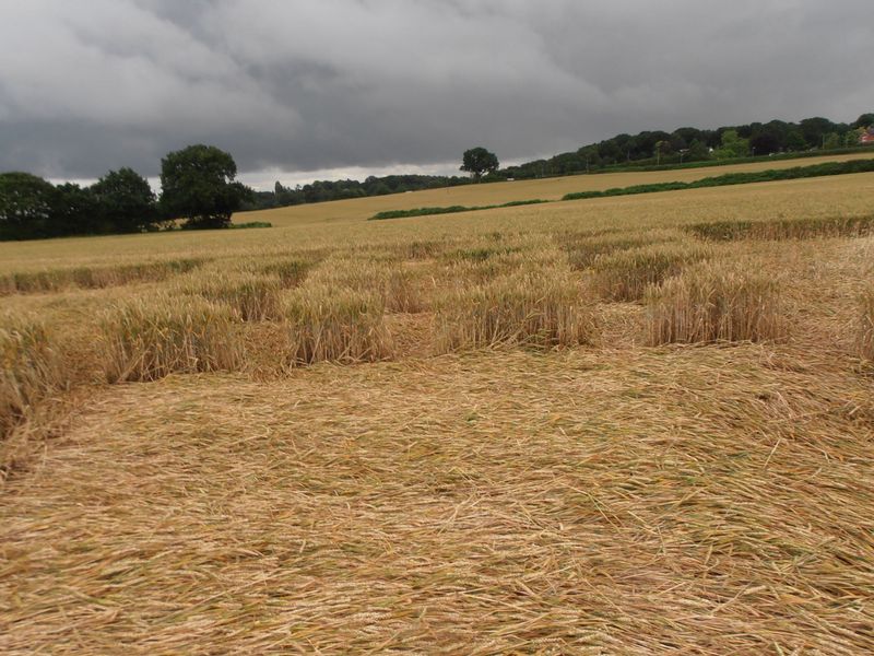 Burrow Hill Fort, Warwickshire crop circle, aerial photo 72