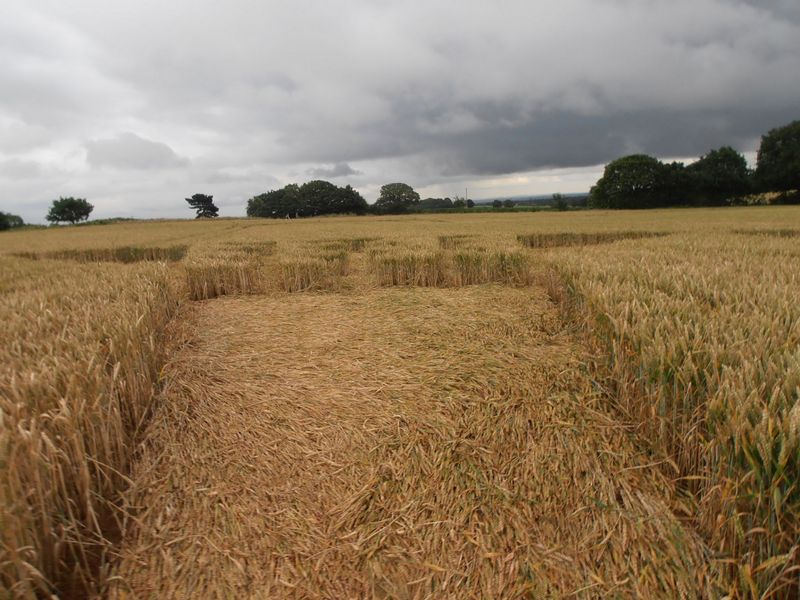Burrow Hill Fort, Warwickshire crop circle, aerial photo 71
