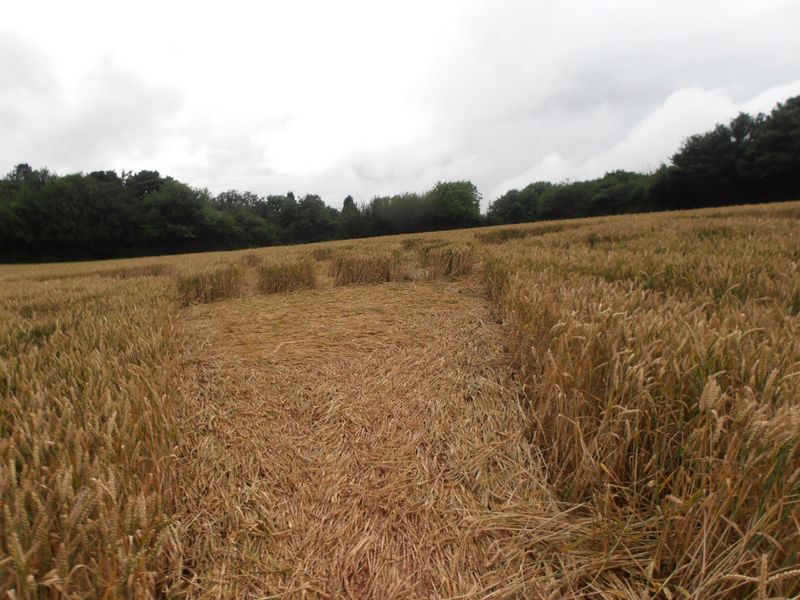 Burrow Hill Fort, Warwickshire crop circle, aerial photo 68