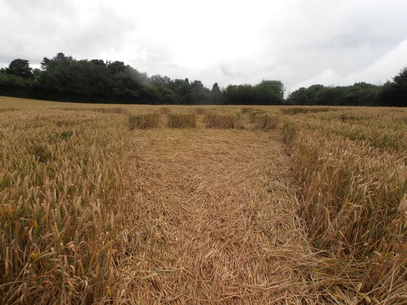 Burrow Hill Fort, Warwickshire crop circle, aerial photo 67
