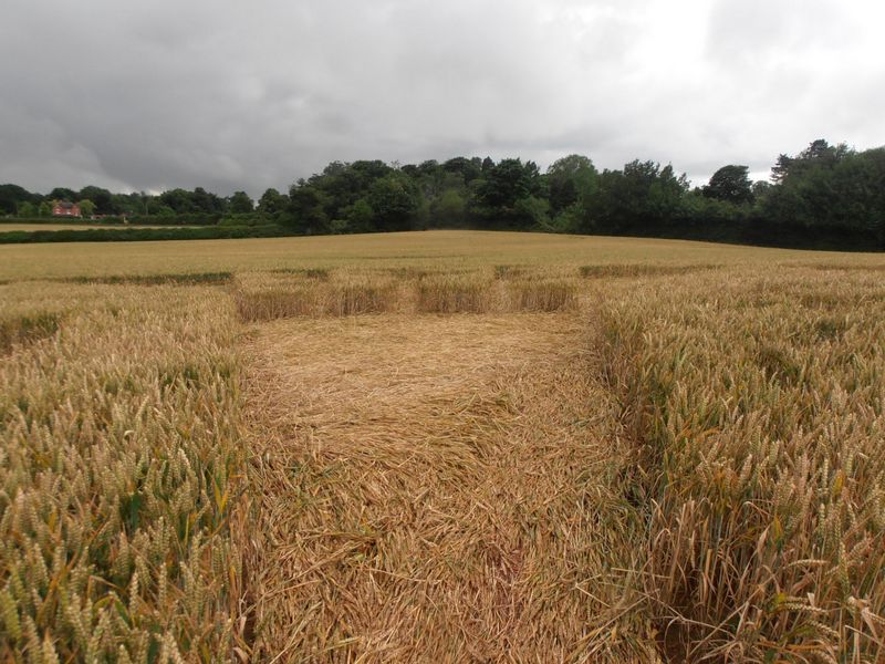 Burrow Hill Fort, Warwickshire crop circle, aerial photo 66