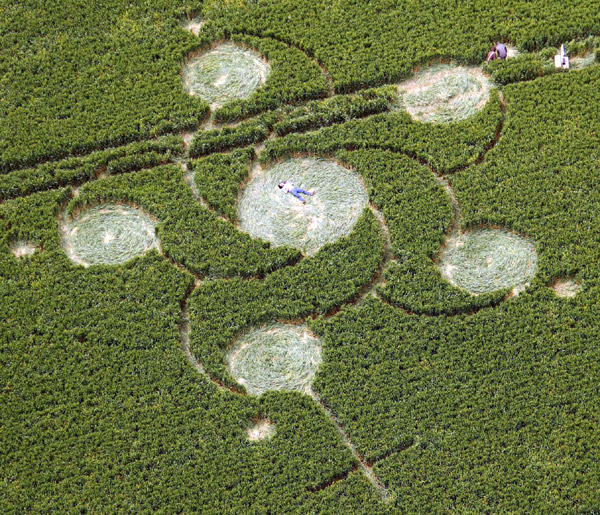 Silbury Hill, Wiltshire crop circle, aerial photo 5