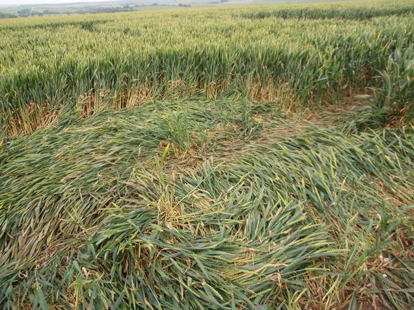 Silbury Hill, Wiltshire crop circle, aerial photo 21