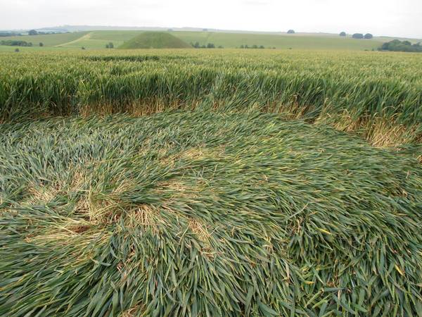Silbury Hill, Wiltshire crop circle, aerial photo 25