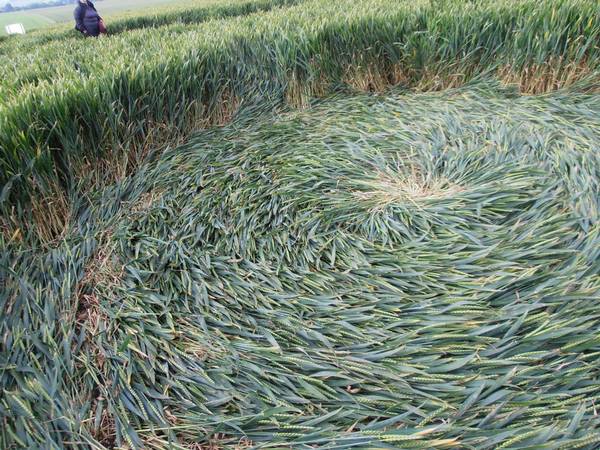 Silbury Hill, Wiltshire crop circle, aerial photo 26