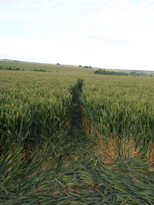 Silbury Hill, Wiltshire crop circle, aerial photo 35