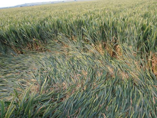 Silbury Hill, Wiltshire crop circle, aerial photo 72