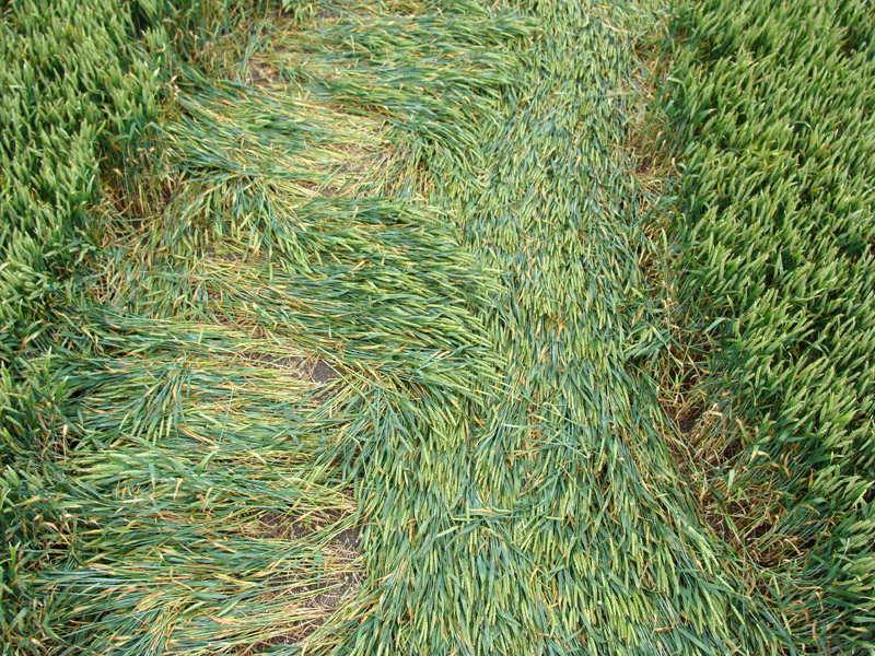 Stanton St Bernard, Wiltshire crop circle, aerial photo 10