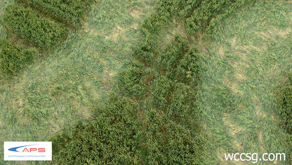 Stanton St Bernard, Wiltshire crop circle, aerial photo 6