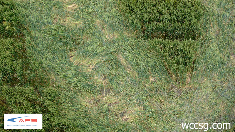 Stanton St Bernard, Wiltshire crop circle, aerial photo 8