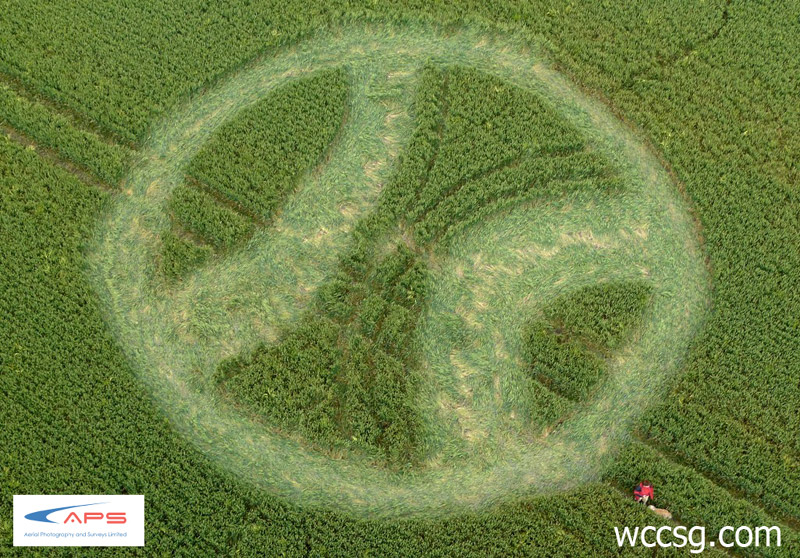 Stanton St Bernard, Wiltshire crop circle, aerial photo 4