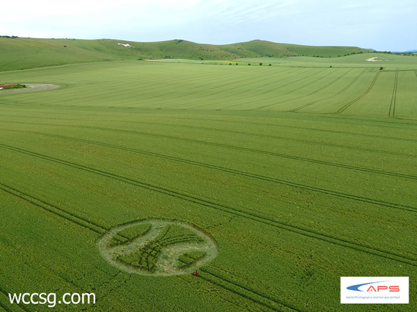 Stanton St Bernard, Wiltshire crop circle, aerial photo 5