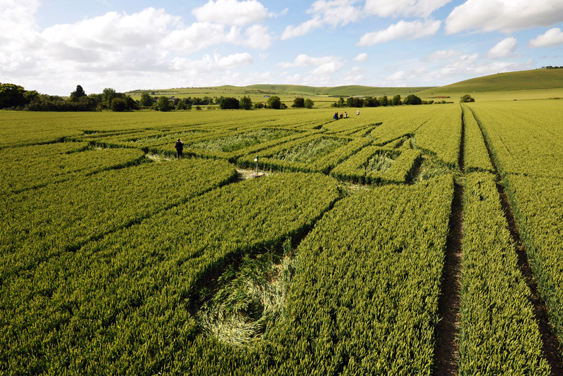 Stanton St Bernard, Wiltshire crop circle, aerial photo 81