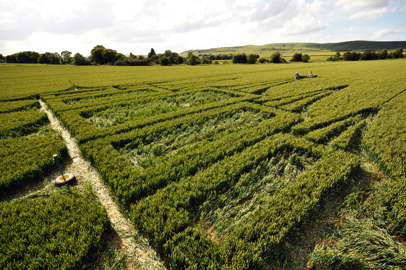 Stanton St Bernard, Wiltshire crop circle, aerial photo 86