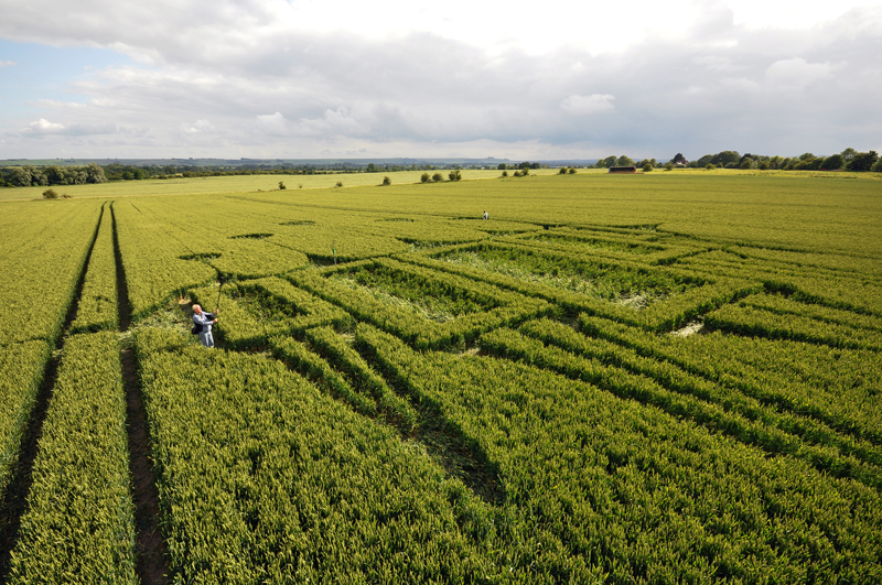 Stanton St Bernard, Wiltshire crop circle, aerial photo 82