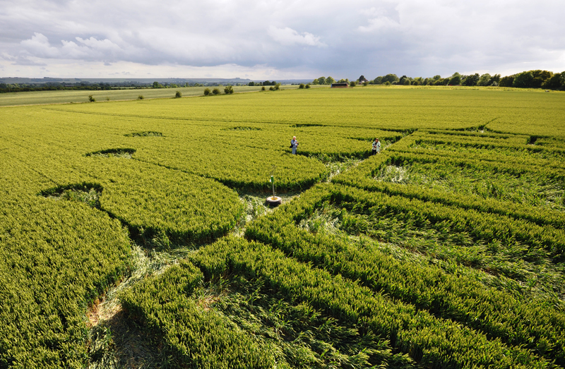 Stanton St Bernard, Wiltshire crop circle, aerial photo 84