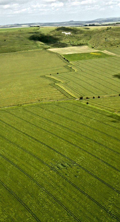 Stanton St Bernard, Wiltshire crop circle, aerial photo 15