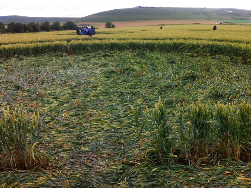 Stanton St Bernard, Wiltshire crop circle, aerial photo 101