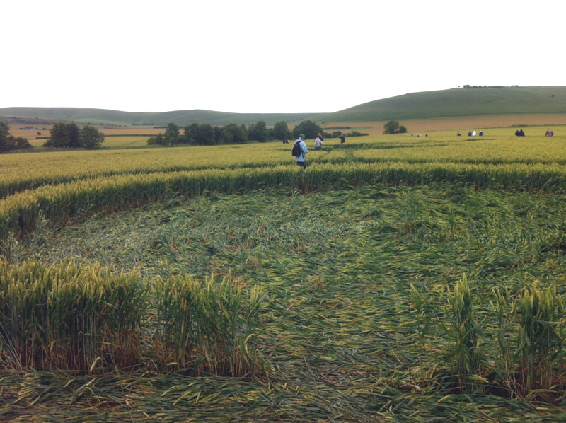 Stanton St Bernard, Wiltshire crop circle, aerial photo 100