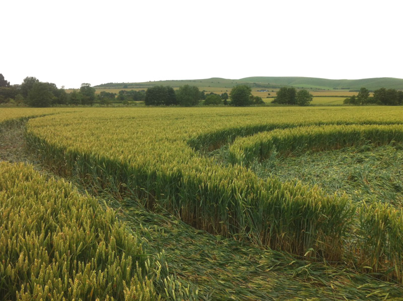 Stanton St Bernard, Wiltshire crop circle, aerial photo 99