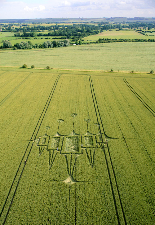 Stanton St Bernard, Wiltshire crop circle, aerial photo 17