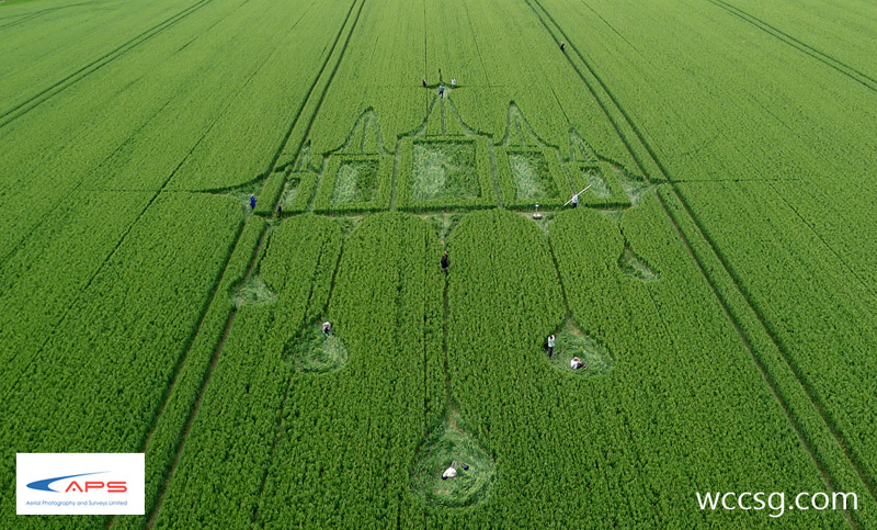 Stanton St Bernard, Wiltshire crop circle, aerial photo 20
