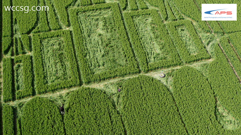 Stanton St Bernard, Wiltshire crop circle, aerial photo 22