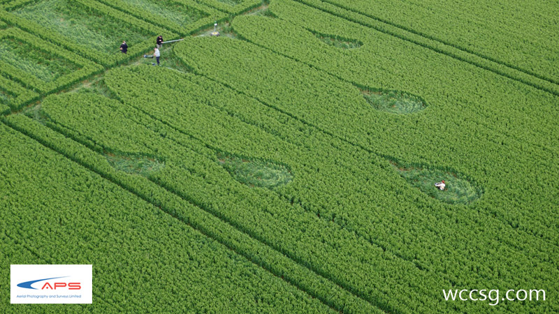 Stanton St Bernard, Wiltshire crop circle, aerial photo 21