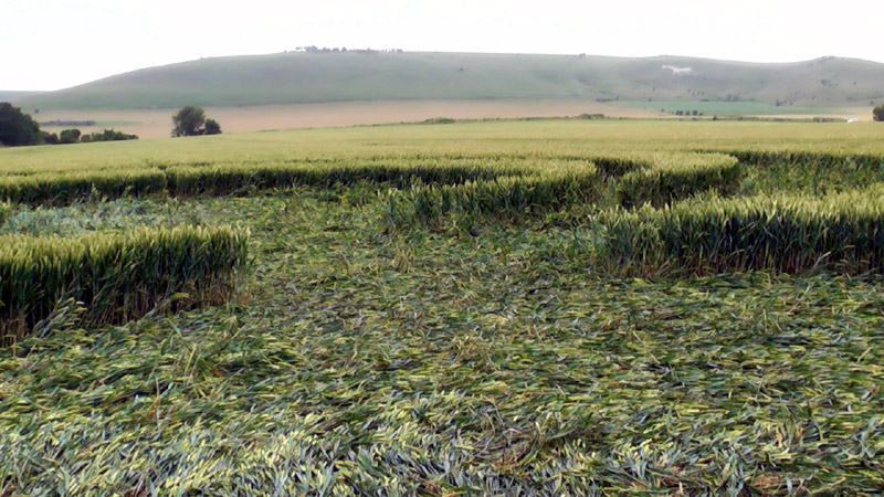 Stanton St Bernard, Wiltshire crop circle, aerial photo 92