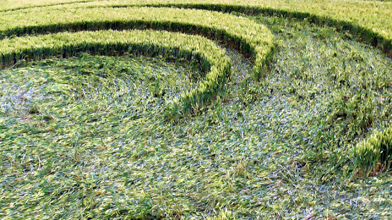 Stanton St Bernard, Wiltshire crop circle, aerial photo 98