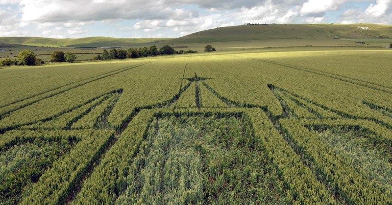 Stanton St Bernard, Wiltshire crop circle, aerial photo 78