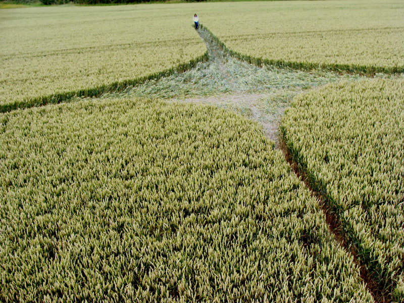 Stanton St Bernard (2) (PHASE 3), Wiltshire crop circle, aerial photo 5