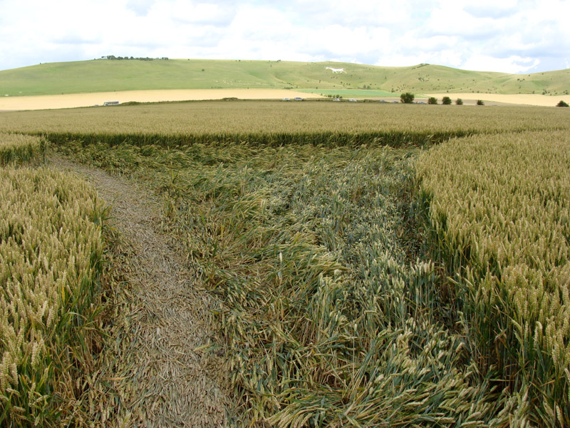 Stanton St Bernard (2) (PHASE 3), Wiltshire crop circle, aerial photo 6