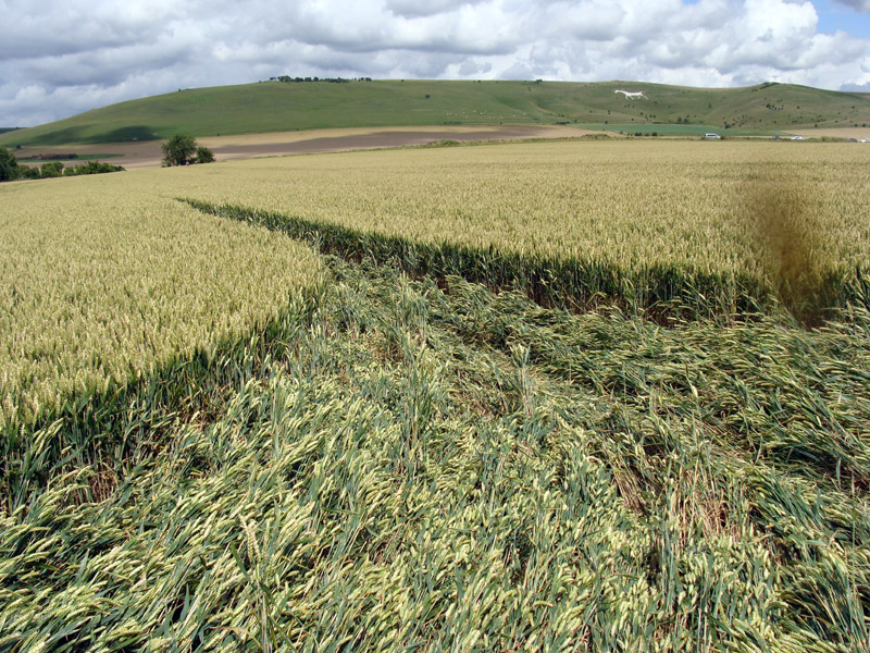 Stanton St Bernard (2) (PHASE 3), Wiltshire crop circle, aerial photo 8