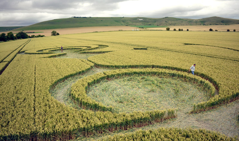 Stanton St Bernard, Wiltshire crop circle, aerial photo 88